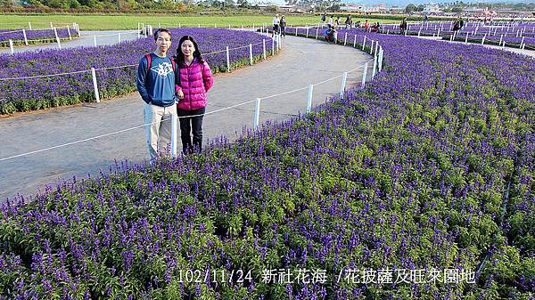 102/11/24 新社花海 /花披薩及旺來園地