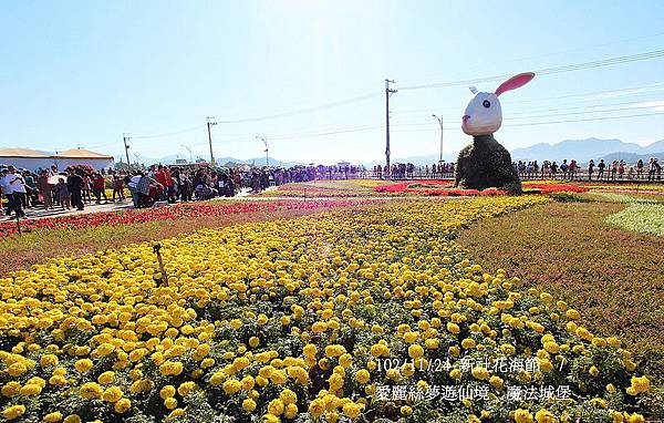 102/11/24 新社花海節  / 愛麗絲夢遊仙境、魔法城堡