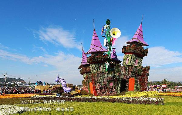 102/11/24 新社花海節  / 