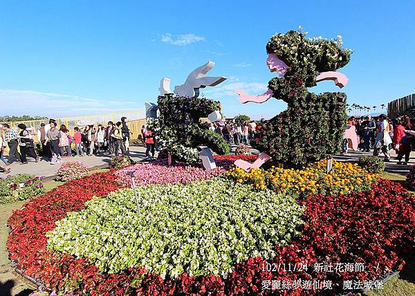 102/11/24 新社花海節  / 
