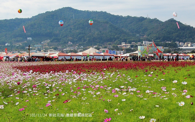 102/11/24 新社花海\撒播景觀綠肥區