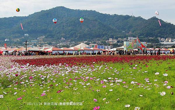 102/11/24 新社花海\撒播景觀綠肥區