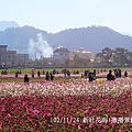 102/11/24 新社花海\撒播景觀綠肥區