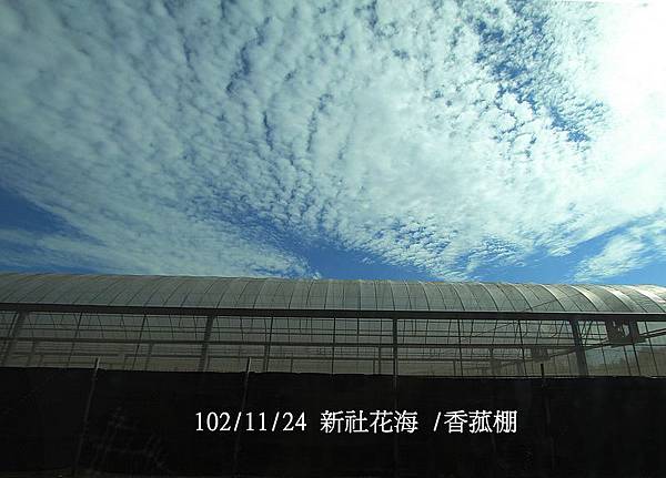 台中 南投 彰化 102 11 24 新社花海 導覽巴士 Lein 的相簿 痞客邦 台中 南投 彰化 102 11 24 新社花海 導覽巴士 Lein 的相簿 痞客邦