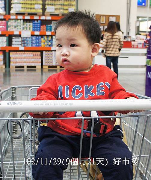 102/11/29  (9個月21天) 