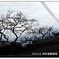 103/1/5~7 烏松崙賞梅區 /景觀步道