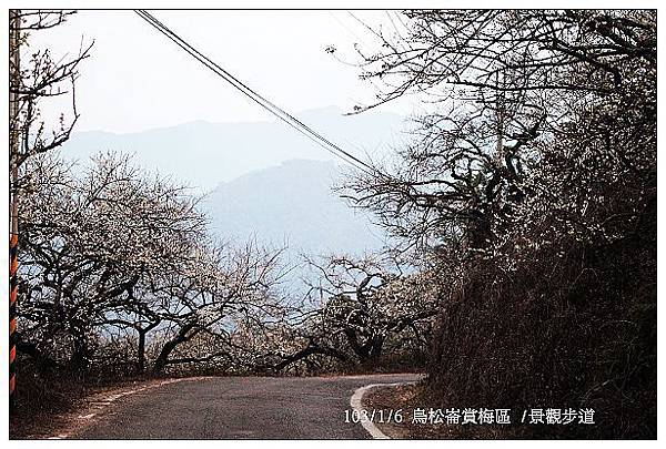 103/1/5~7 烏松崙賞梅區 /景觀步道 