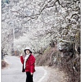 103/1/5~7 烏松崙賞梅區 /景觀步道