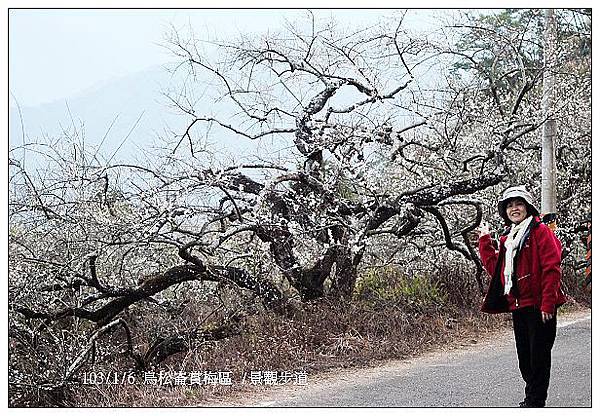 103/1/5~7 烏松崙賞梅區 /景觀步道 