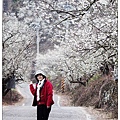 103/1/5~7 烏松崙賞梅區 /景觀步道