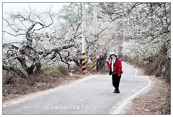 103/1/5~7 烏松崙賞梅區 /景觀步道 