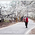 103/1/5~7 烏松崙賞梅區 /景觀步道