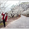 103/1/5~7 烏松崙賞梅區 /景觀步道