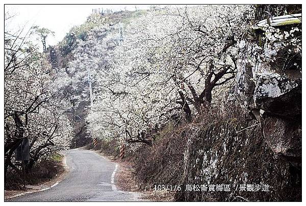 103/1/5~7 烏松崙賞梅區 /景觀步道 