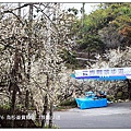 103/1/5~7 烏松崙賞梅區 /景觀步道