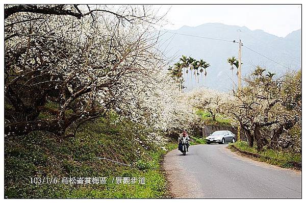 103/1/5~7 烏松崙賞梅區 /景觀步道 