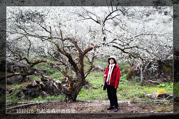 103/1/6 烏松崙森林渡假營