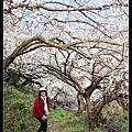 103/1/6 烏松崙賞梅區/ 陽昇梅園