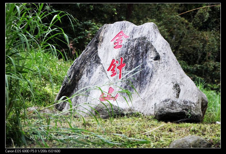 103/11/15 青山農場(台東金針山)」