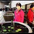 aaIMG_4877