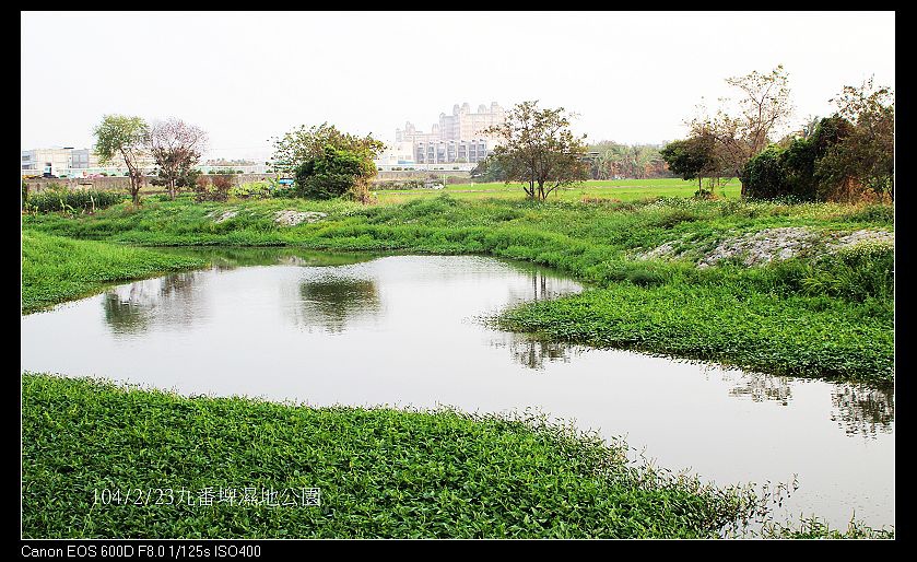 八克里 今天發現住家附近的隱藏版溼地公園 九番埤濕地公園