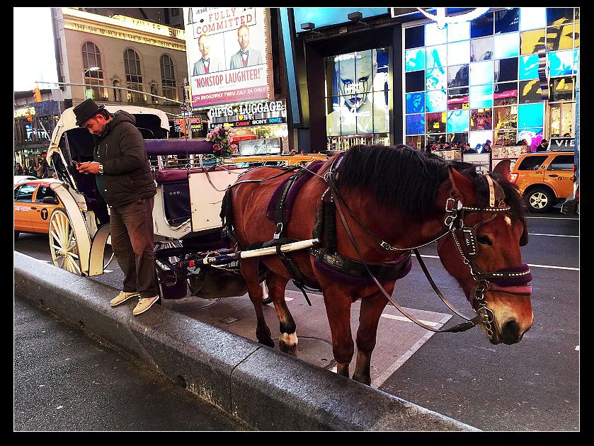 W New York - Times Square12.jpg