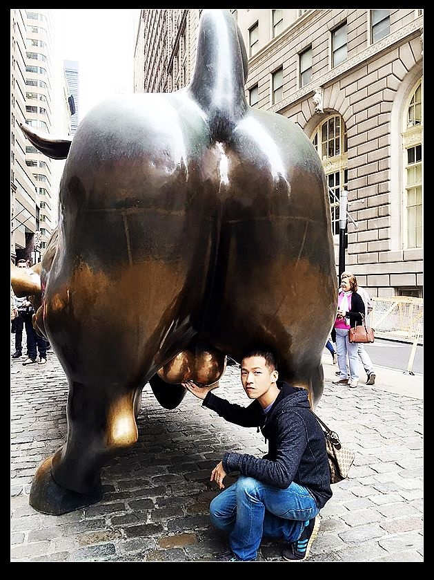 Wall Street Bull.jpg