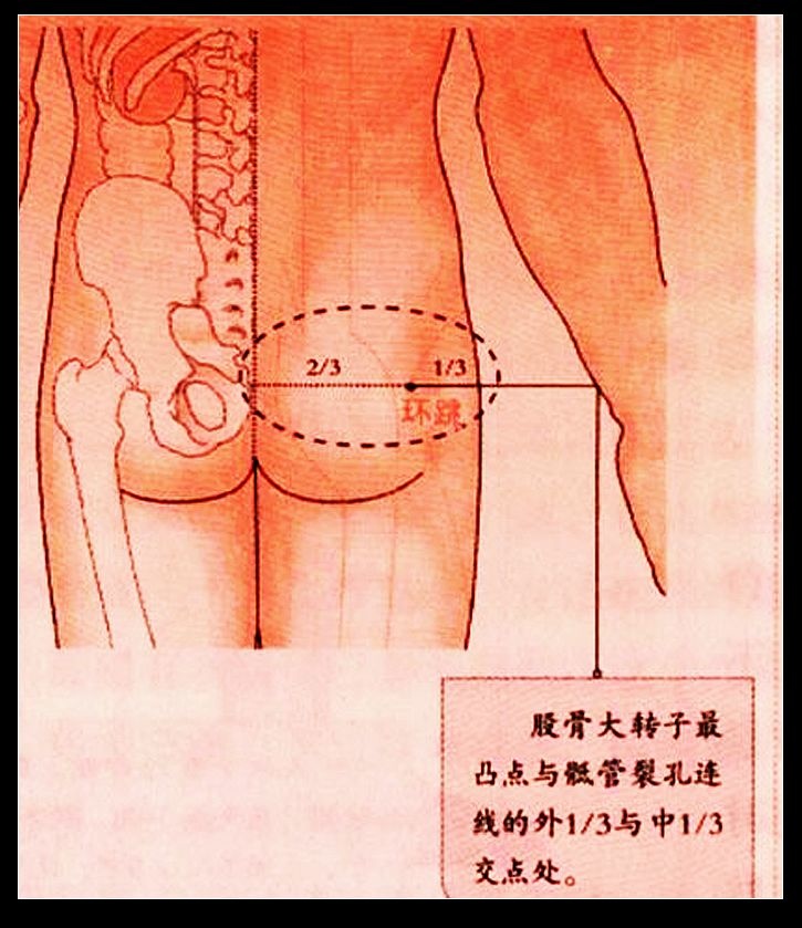 環跳穴1 (1).jpg