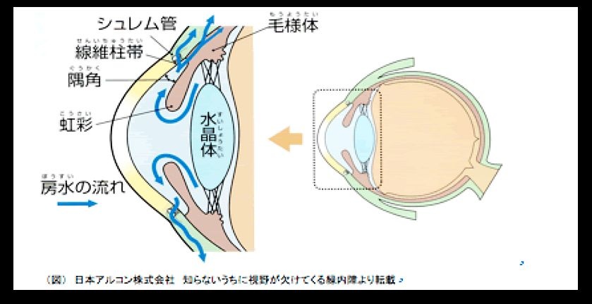 眼鏡