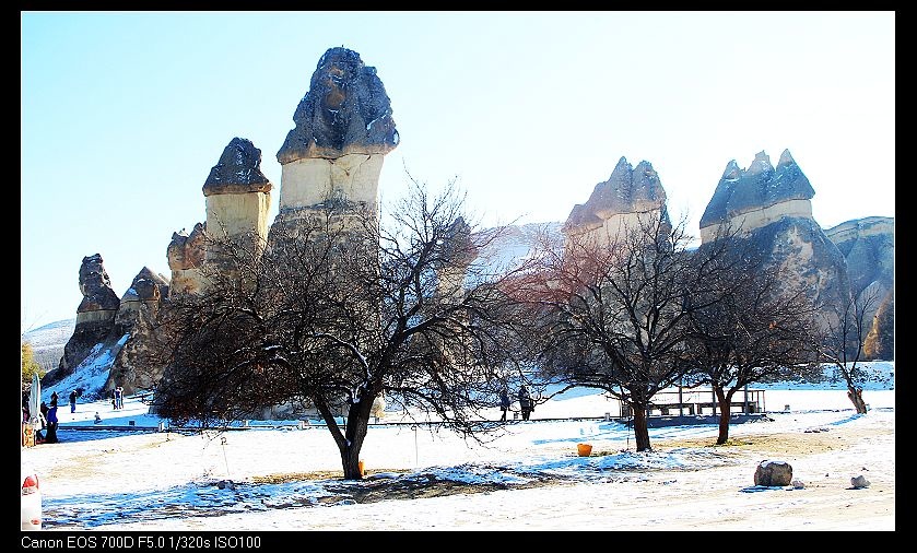 cIMG_3992.jpg cIMG_3992.jpg