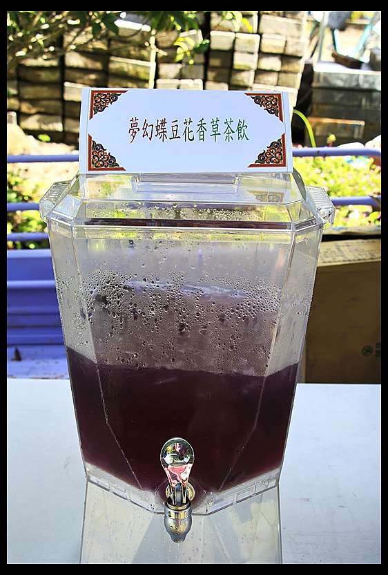 蝶豆花 的主要价值与作用 河畔小築 痞客邦