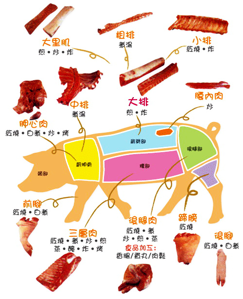 豬肉部位名稱圖解 河畔小築 痞客邦