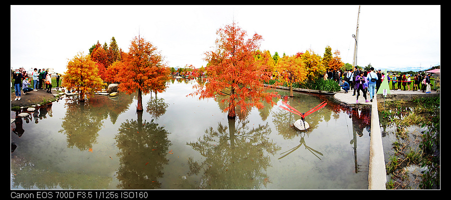 a未命名_全景31a.jpg