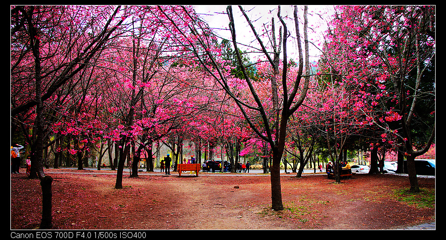 未命名_全景16.jpg