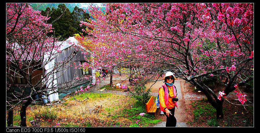 未命名_全景26.jpg