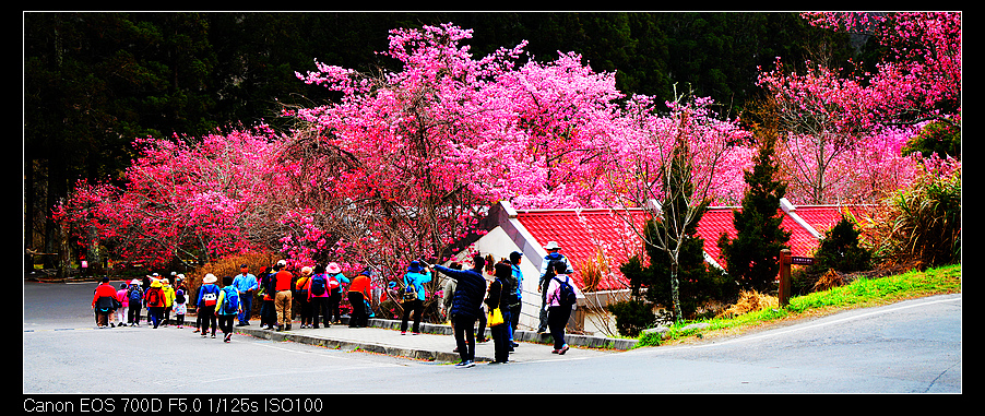 未命名_全景40.jpg