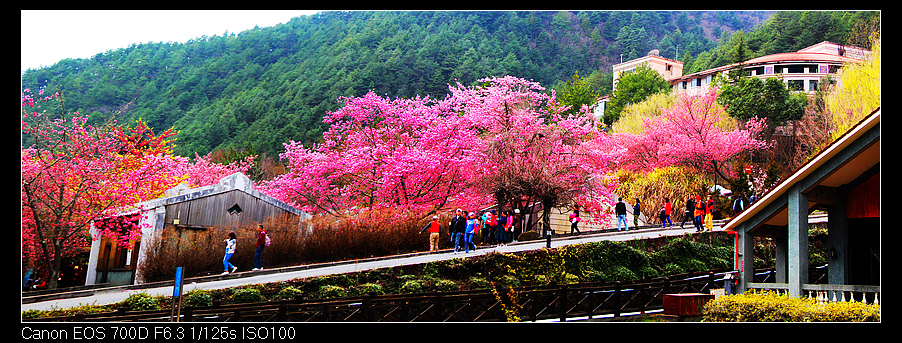 未命名_全景46.jpg