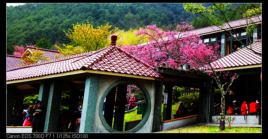 未命名_全景49.jpg