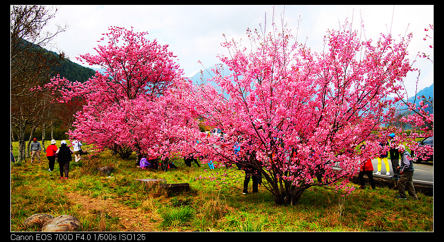 未命名_全景90.jpg