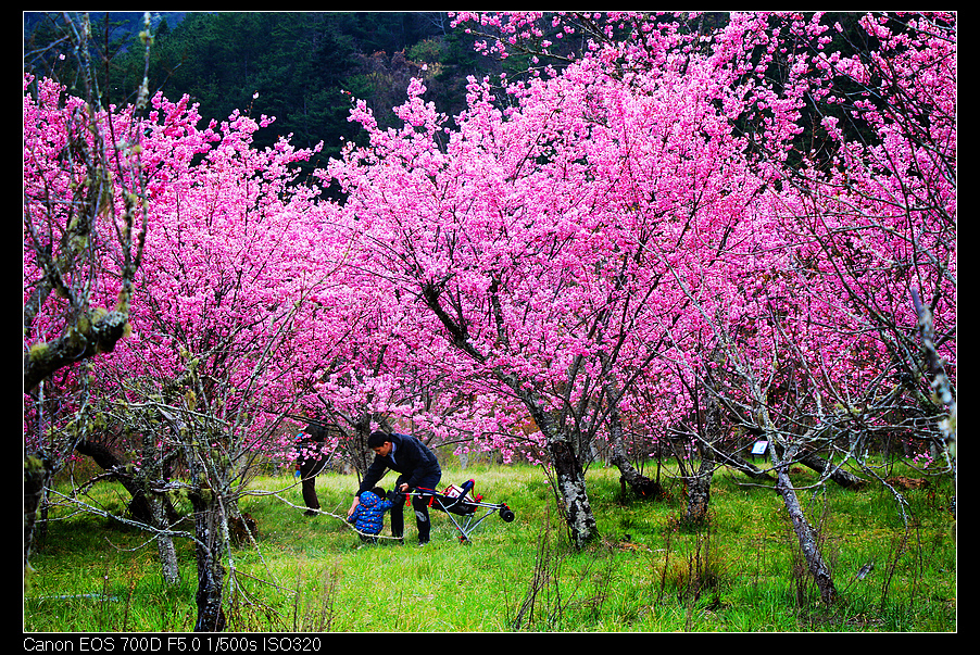 未命名_全景93.jpg