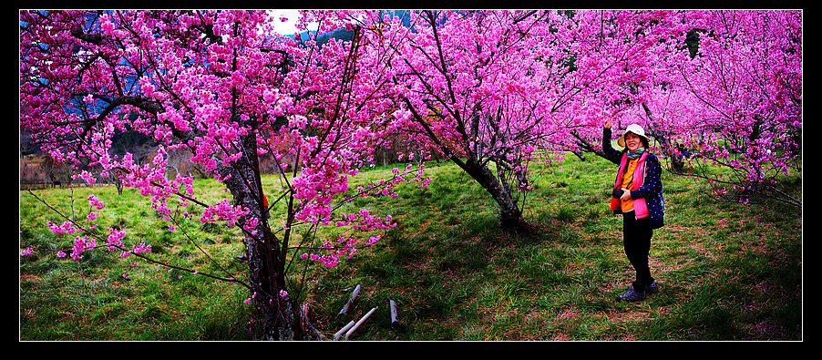 未命名_全景98.jpg