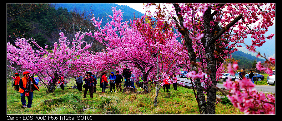 未命名_全景105.jpg