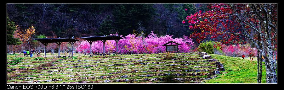 未命名_全景112.jpg