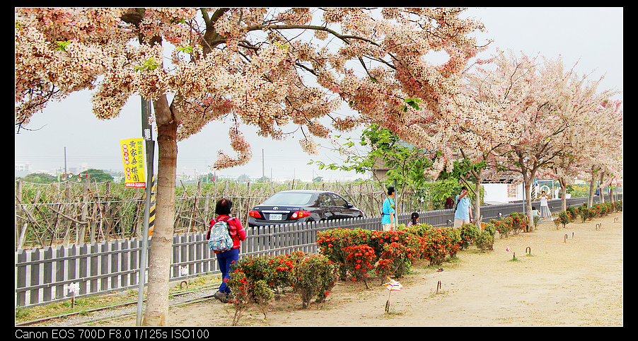 未命名_全景2.jpg