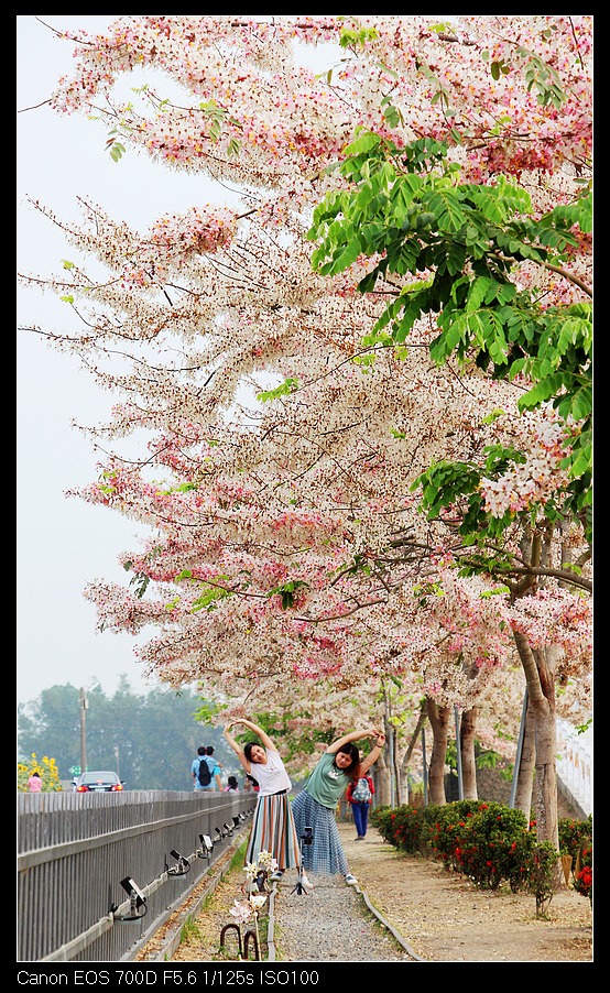 未命名_全景4.jpg