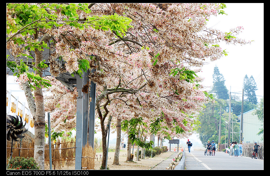 未命名_全景10.jpg