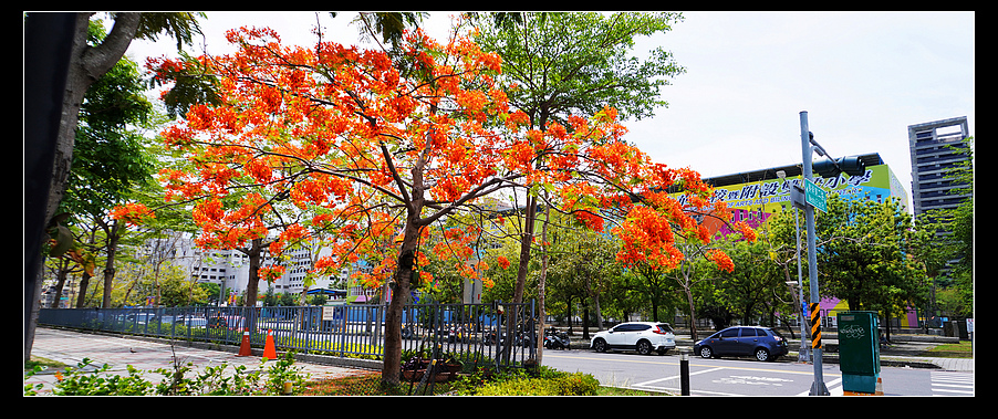 未命名_全景1a.jpg