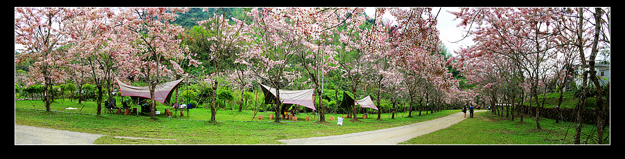 未命名_全景21.jpg