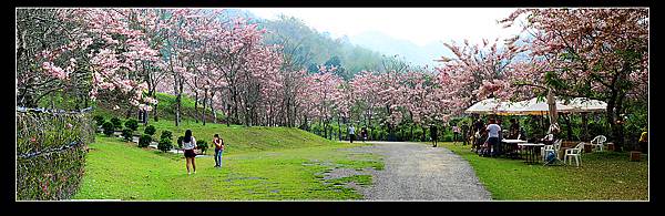 未命名_全景25.jpg