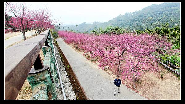 未命名_全景5.jpg